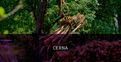 Case Study Cerna